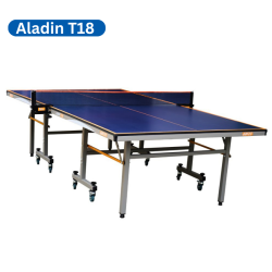 Aladin T18