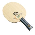 Butterfly Fan Zhendong ZLC