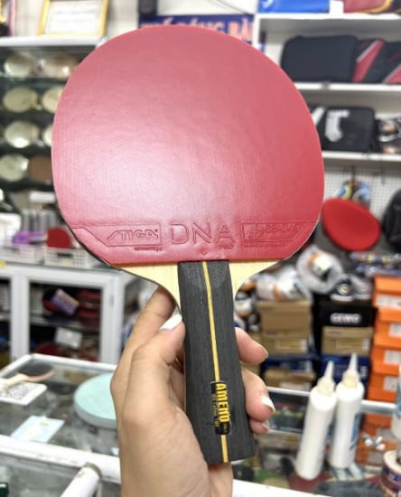 AMENO DNA AURUS