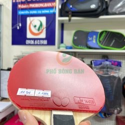 z7160804679183_94063adcaa30f84dde0f2ac85bb63b0f