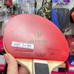 z7160805832533_26df395839afae7e94a76734f0a85e30