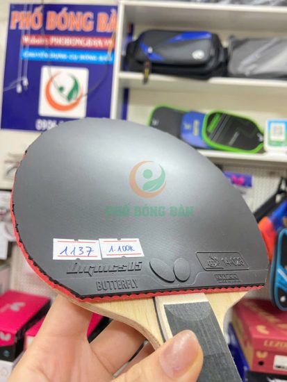 z7160806196691_19d7872420c12935df56499a57eb07bb