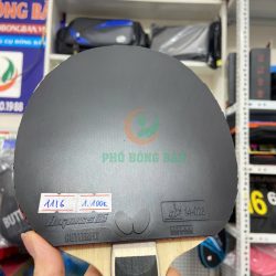 z7160806282708_161d396f512695c0f3a556321ff71172 z7160806282708_161d396f512695c0f3a556321ff71172