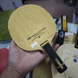 DODVPL (4) DODVPL (4)