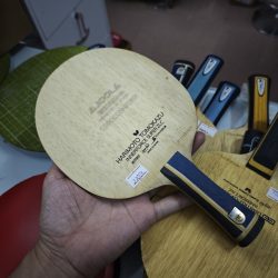 HTAMEM (1) HTAMEM (1)