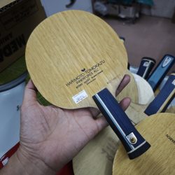 htKSF9 (4) htKSF9 (4)