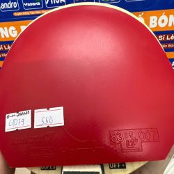 z7328459072712_a420f51e9367deb9e54db31bae526062