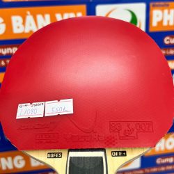 z7328459140674_8d6d844244cecd406a39200e23e6ea35