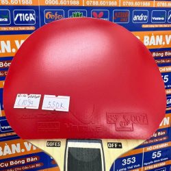 z7328459250301_684040c421163ba358e6a7474ce05418