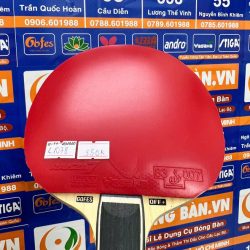 z7328459286692_5223459959a1ee4e1177517eb5761a91 z7328459286692_5223459959a1ee4e1177517eb5761a91