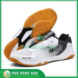 Thiết kế chưa có tên 1