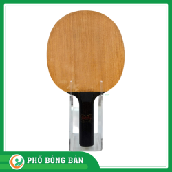 Thiết kế chưa có tên (9)